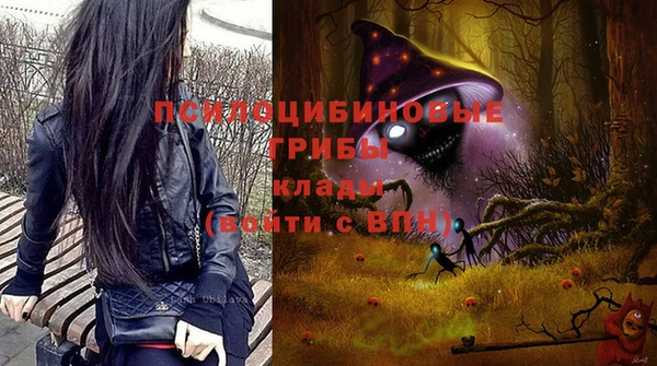 гидра Алексин