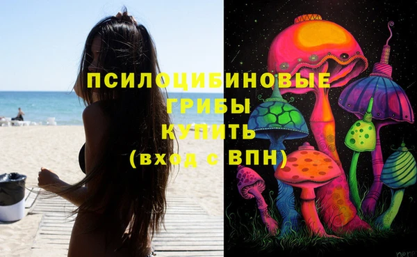 ECSTASY Алзамай