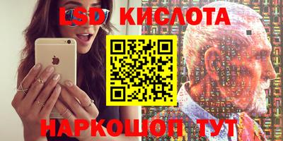 ПСИЛОЦИБИНОВЫЕ ГРИБЫ Тверь