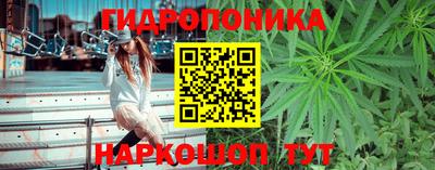 ПСИЛОЦИБИНОВЫЕ ГРИБЫ Тверь