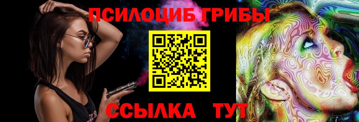 Псилоцибиновые грибы мицелий Протвино